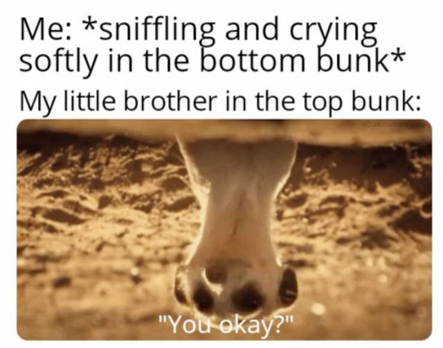 Funny Memes (45 pics)