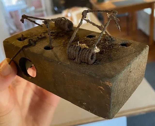 Interesting Finds  (23 pics)