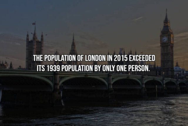 Random Facts (15 pics)