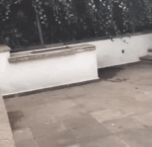 Acid GIFs, March 24 (25 gifs)