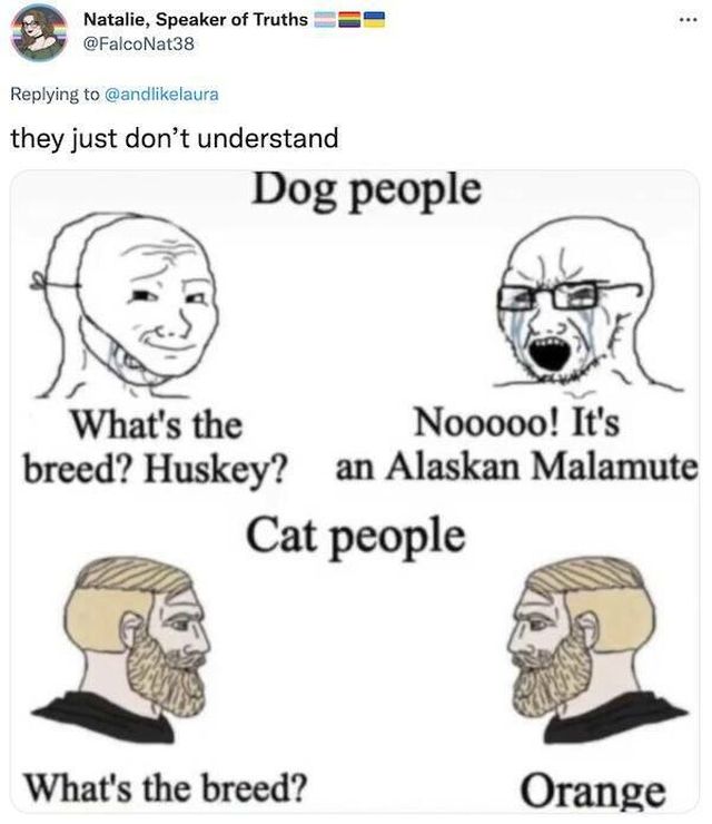 Jokes About Animals (18 pics)