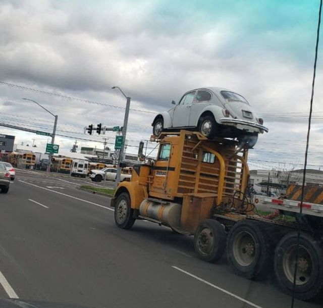 Unusual Situations (19 pics)