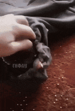 Acid GIFs, March 25 (25 gifs)