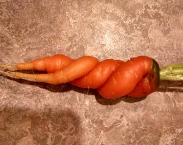 Unusual Finds (15 pics)