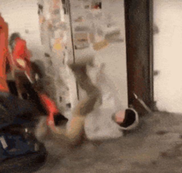 Acid GIFs, March 28 (25 gifs)