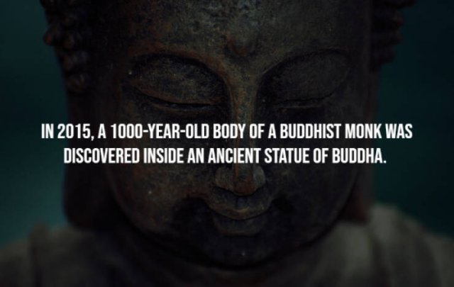 Random Facts (14 pics)