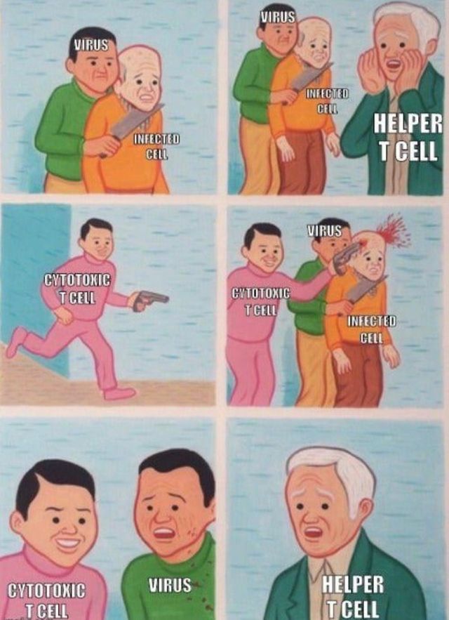Funny Memes (35 pics)