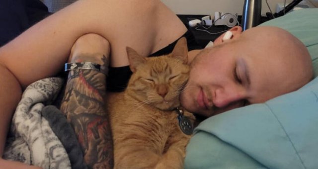 They Didn’t Want Any Pets (17 pics)
