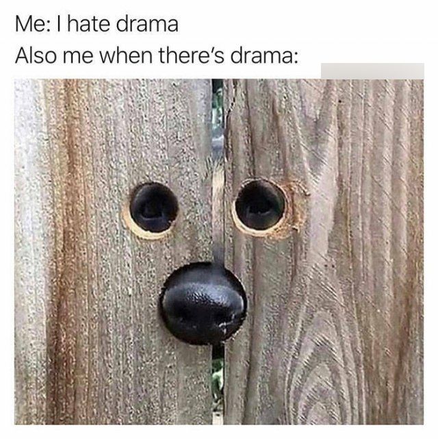 Random Memes (36 pics)