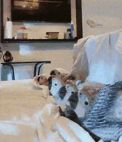 Acid GIFs, April 1 (25 gifs)