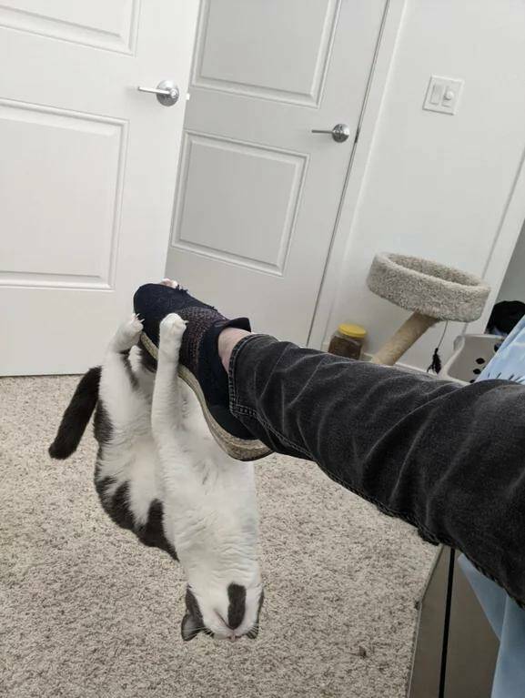 Daily Pictures. Part 2 (70 pics)