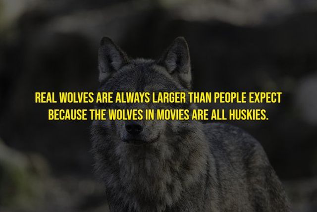Unusual Thoughts (13 pics)