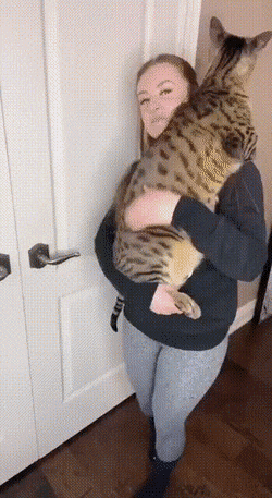 Acid GIFs, April 7 (25 gifs)