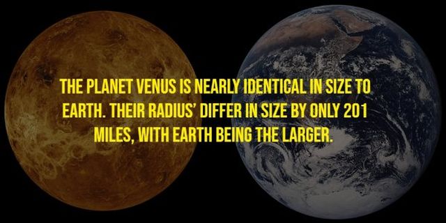Random Facts (17 pics)