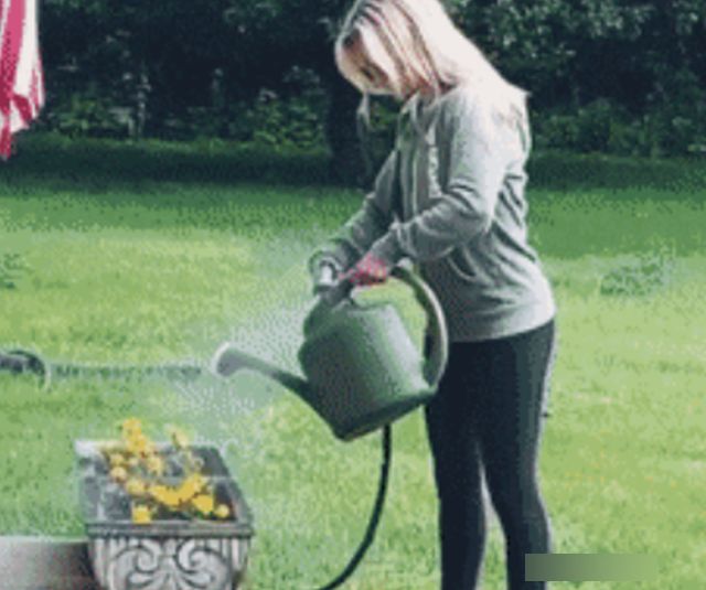 Acid GIFs, April 8 (25 gifs)