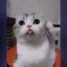 Acid GIFs, April 11 (25 gifs)
