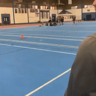 Acid GIFs, April 11 (25 gifs)