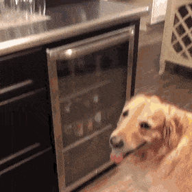 Acid GIFs, April 11 (25 gifs)