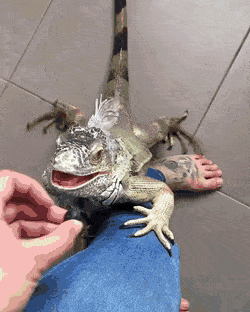 Acid GIFs, April 11 (25 gifs)