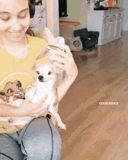 Acid GIFs, April 11 (25 gifs)