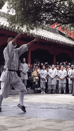 Acid GIFs, April 11 (25 gifs)