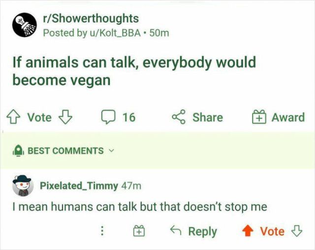 Funny Comments (15 pics)
