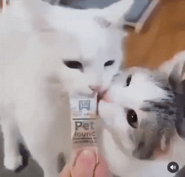 Acid GIFs, April 14 (25 gifs)