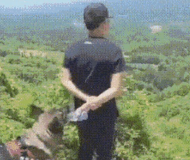 Acid GIFs, April 15 (25 gifs)
