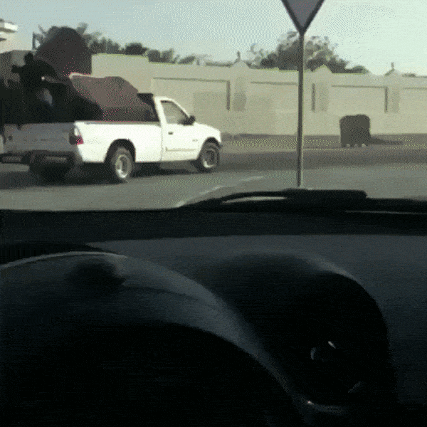 Acid GIFs, April 15 (25 gifs)
