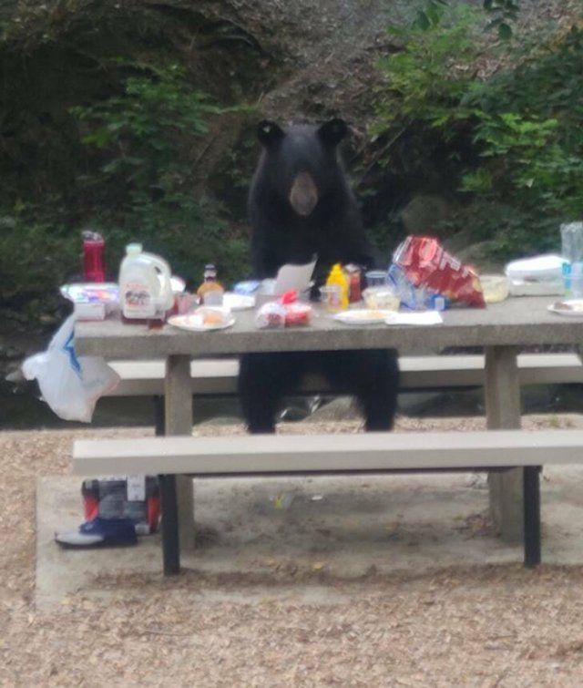 Unusual Finds (19 pics)