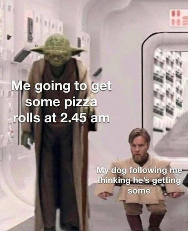 Memes About Animals (27 pics)