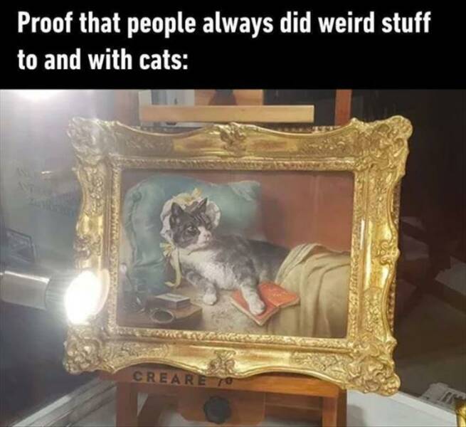 Daily Pictures. Part 2 (70 pics)