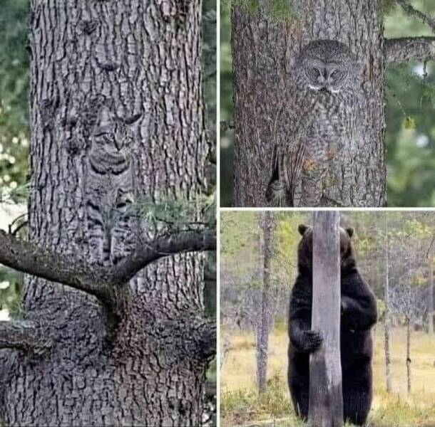Daily Pictures. Part 1 (72 pics)