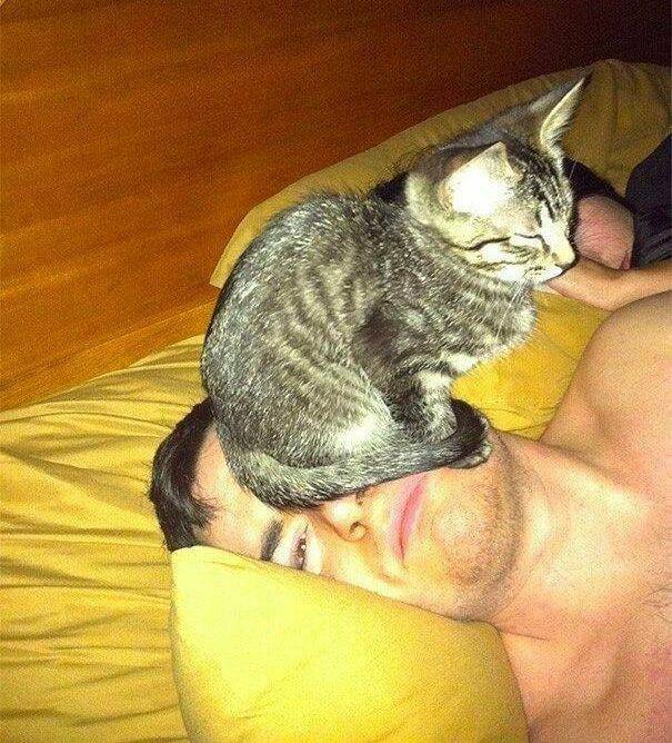 Daily Pictures. Part 2 (70 pics)