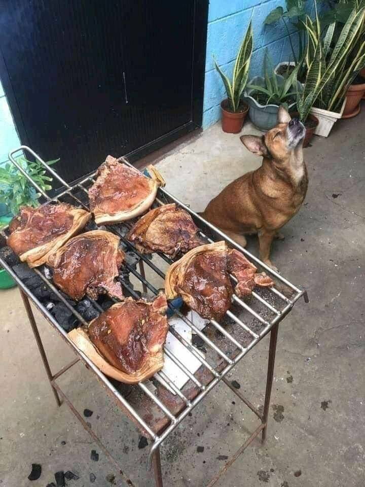 Daily Pictures. Part 2 (70 pics)