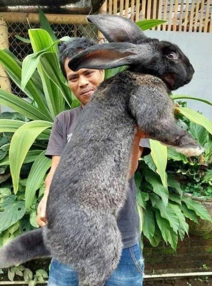 Daily Pictures. Part 2 (70 pics)