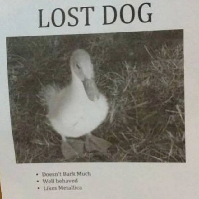 Funny Finds (37 pics)