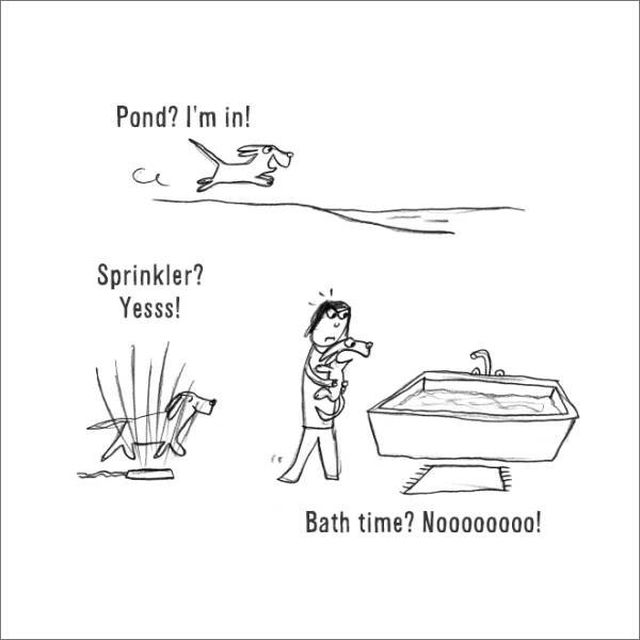 Comics About Dogs Life (22 pics)