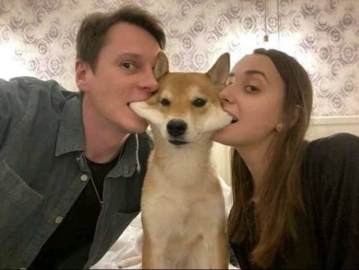 Daily Pictures. Part 2 (56 pics)