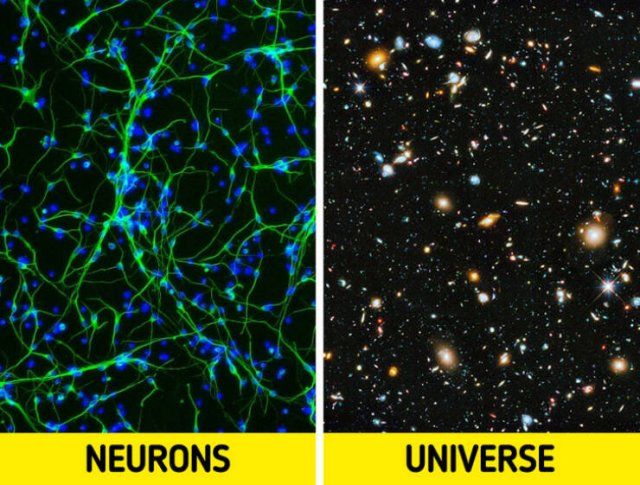Universe In People Body (23 pics)