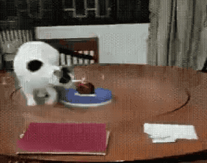 Acid GIFs, April 22 (25 gifs)
