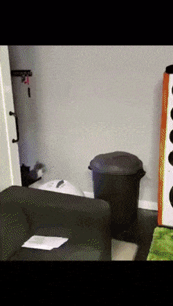 Acid GIFs, April 22 (25 gifs)