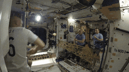 Acid GIFs, April 22 (25 gifs)