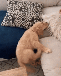 Acid GIFs, April 22 (25 gifs)