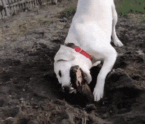 Acid GIFs, April 22 (25 gifs)