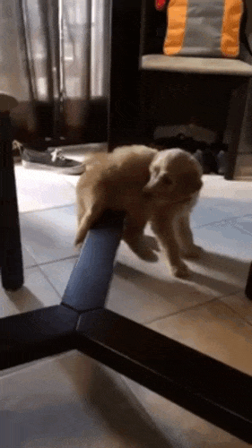 Acid GIFs, April 22 (25 gifs)