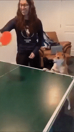 Acid GIFs, April 22 (25 gifs)