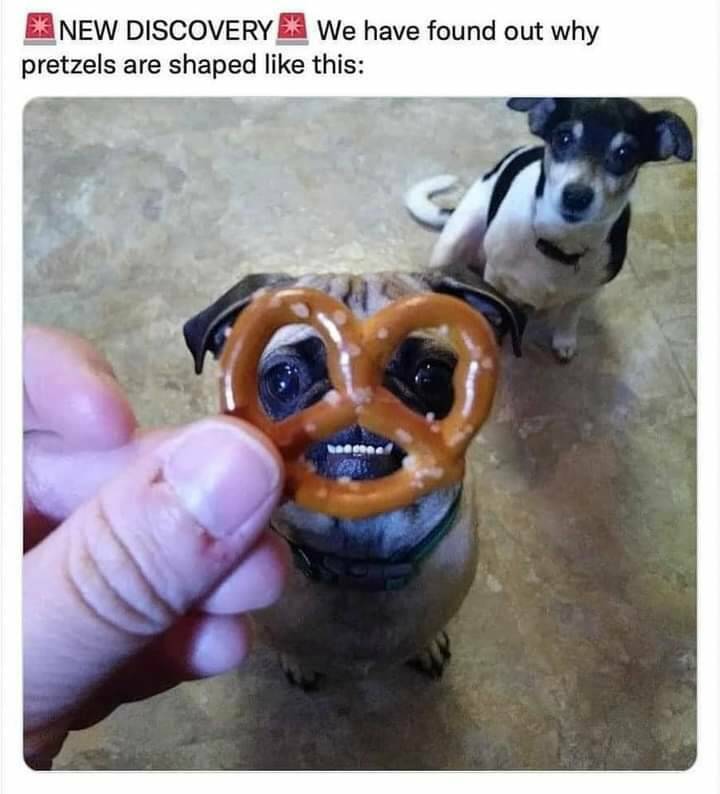 Daily Pictures. Part 2 (53 pics)