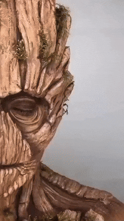 Acid GIFs, April 25 (25 gifs)