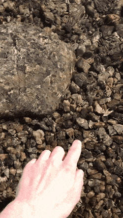 Acid GIFs, April 25 (25 gifs)